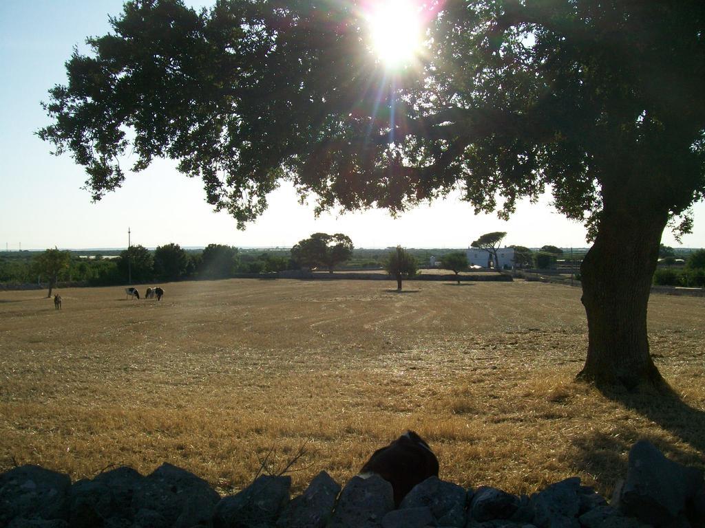 Masseria Del Crocifisso Полиньяно-а-Маре Экстерьер фото